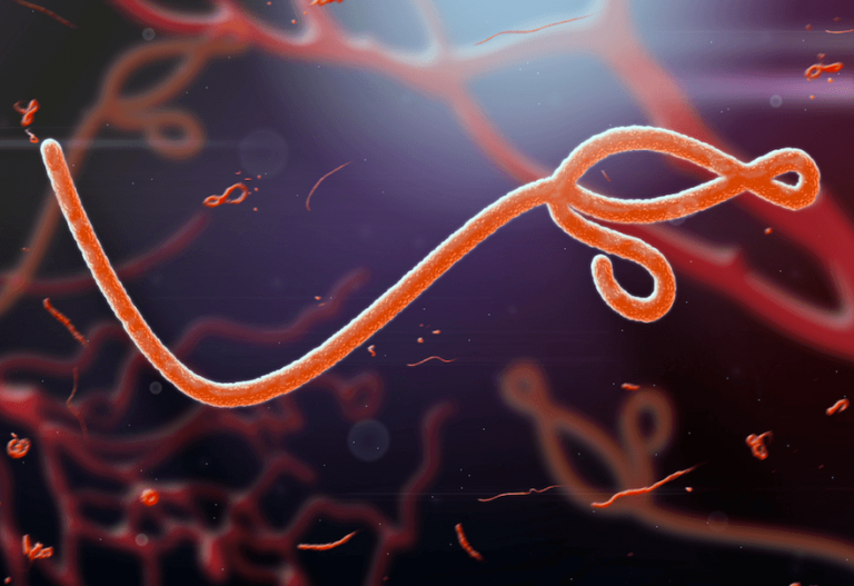 ebola salgininin nedeni virus mu yoksa ihmal edilen hijyen mi hisar intercontinental hospital