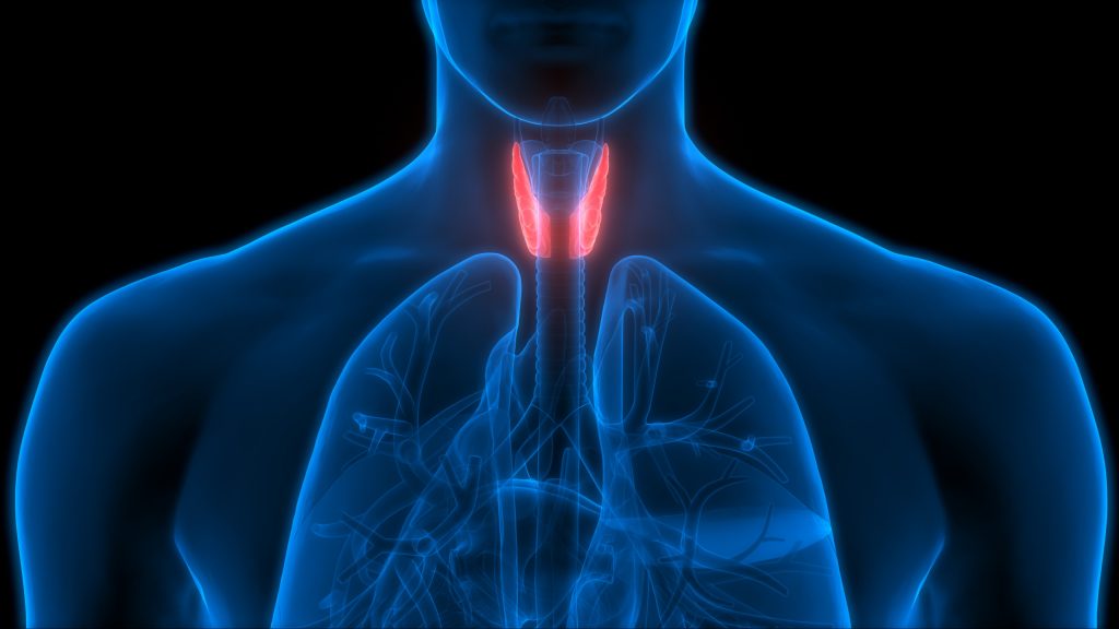 tiroid nedir tiroid belirtileri nedenleri ve tedavisi