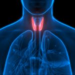 tiroid nedir tiroid belirtileri nedenleri ve tedavisi