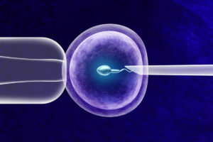 embriyo traslama