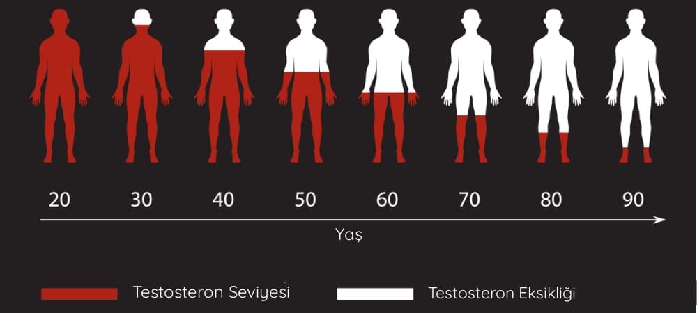 Andropoz nedir
