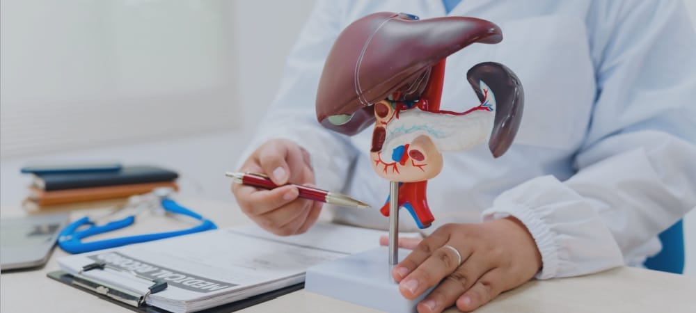 Hepatit B nedir