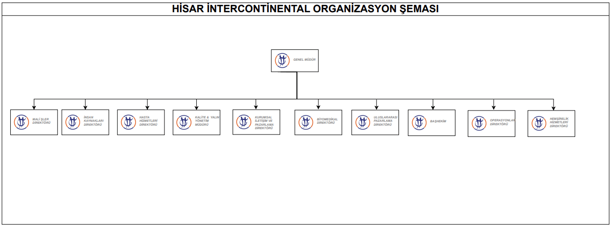 hisar hospital organizasyon semasi