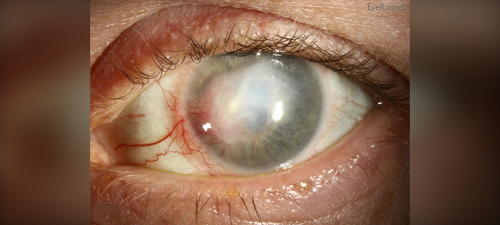 image1.jpg